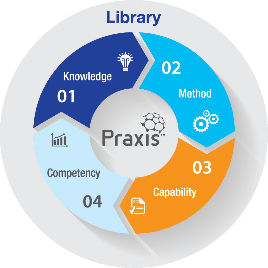 Praxisframework Model Whitebackground